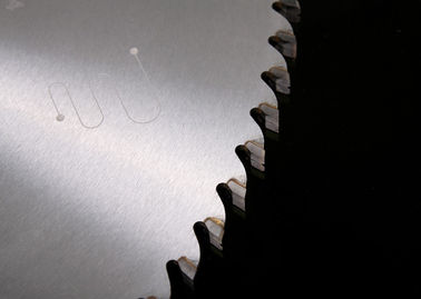 TCT 안내장을 보답하는 Ceratizit 끝 테이블을 가진 450mm SKS 일본 강철은 톱날을
